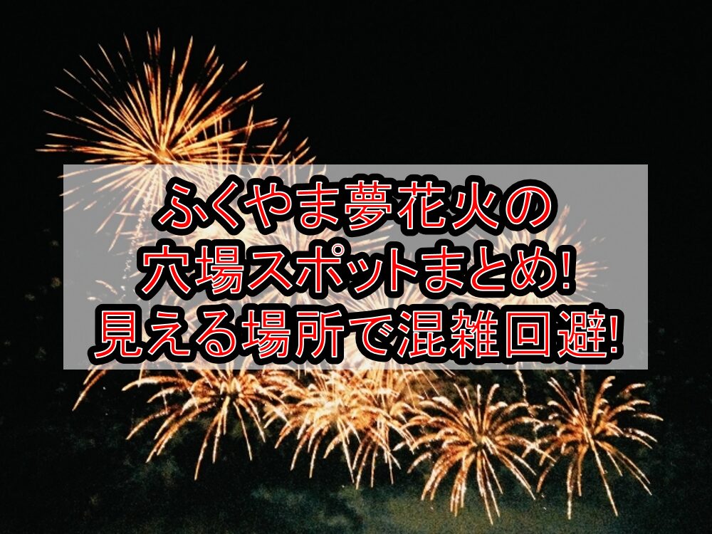 ふくやま夢花火2025の穴場スポットまとめ!見える場所で混雑回避!