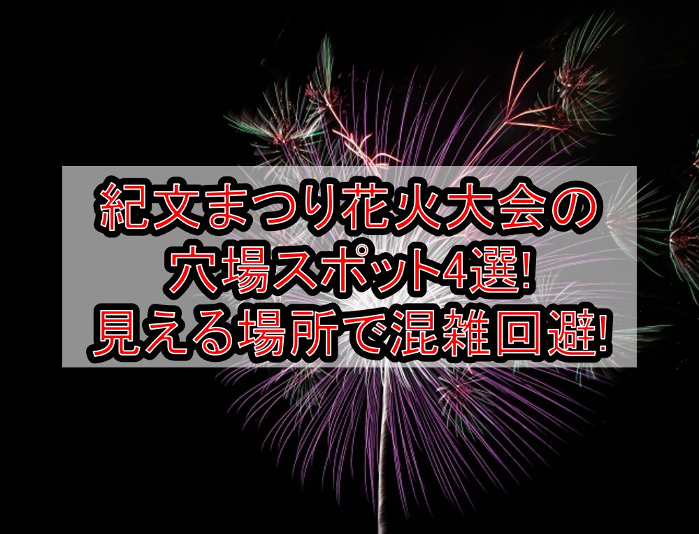 紀文まつり花火大会2025の穴場スポット4選!見える場所で混雑回避!