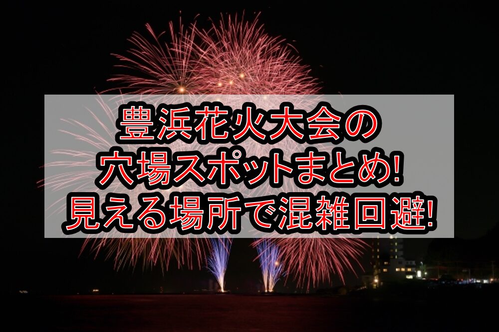 豊浜花火大会2025の穴場スポットまとめ!見える場所で混雑回避!