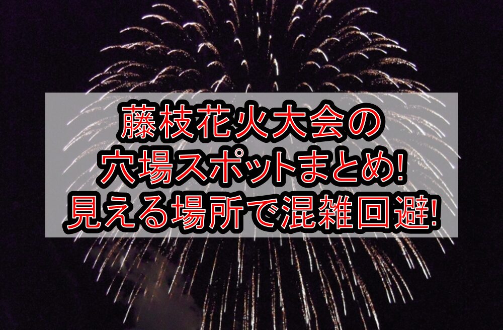 藤枝花火大会2025の穴場スポットまとめ!見える場所で混雑回避!