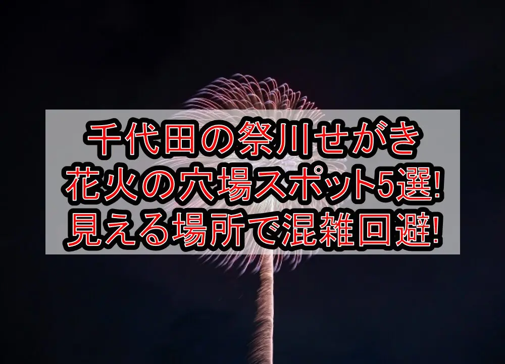 千代田の祭川せがき花火2024の穴場スポット5選!見える場所で混雑回避!