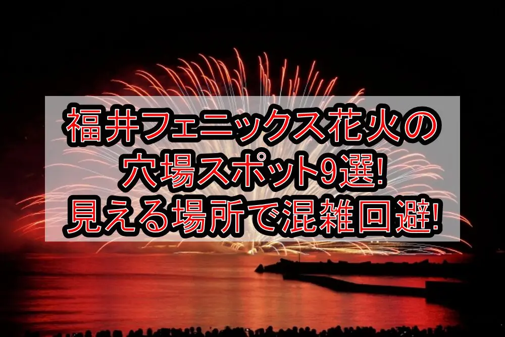 福井フェニックス花火2024の穴場スポット9選!見える場所で混雑回避!