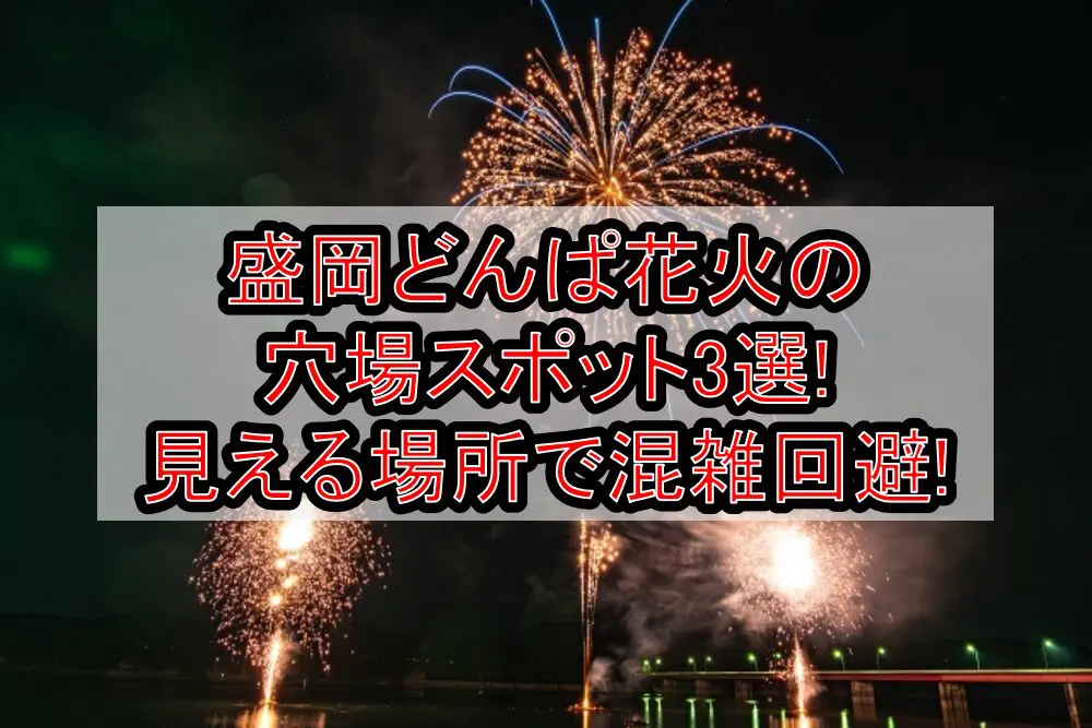 盛岡どんぱ花火2024の穴場スポット3選!見える場所で混雑回避!