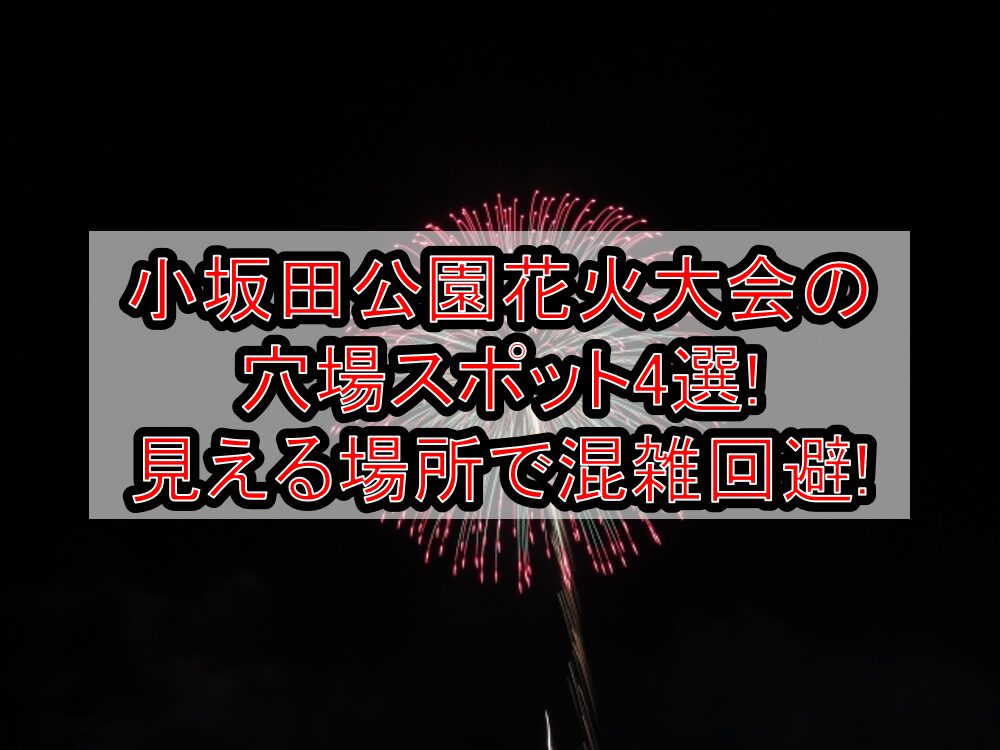 小坂田公園花火大会2025の穴場スポット4選!見える場所で混雑回避!