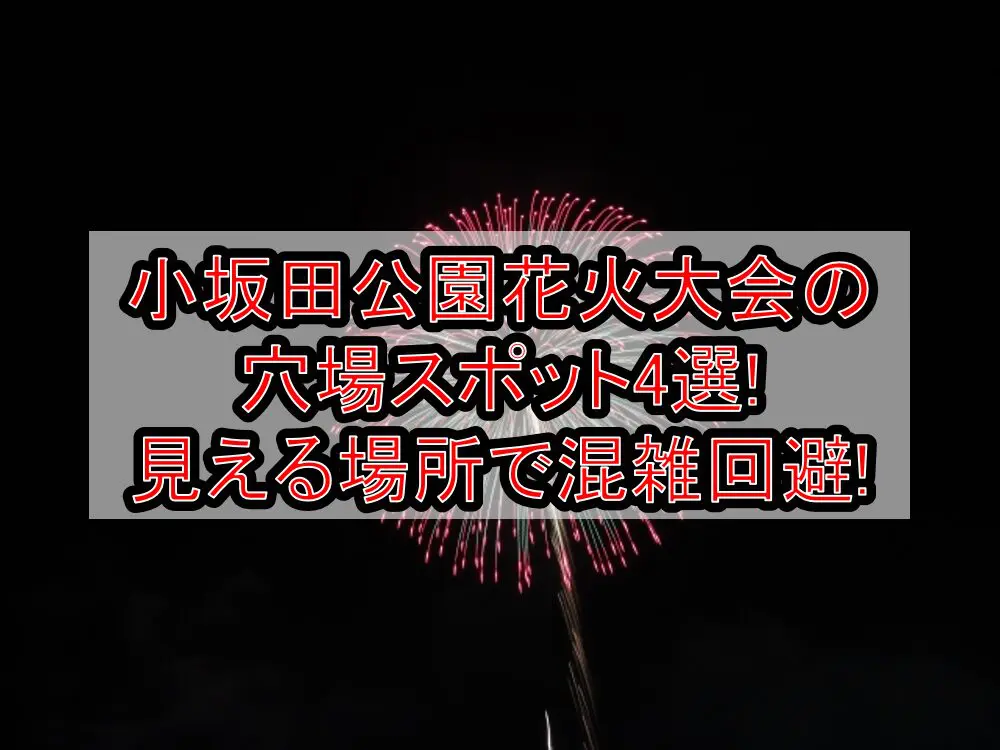 小坂田公園花火大会2024の穴場スポット4選!見える場所で混雑回避!