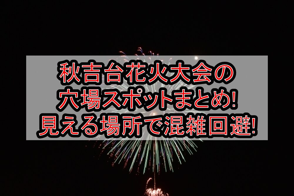 秋吉台花火大会2024の穴場スポットまとめ!見える場所で混雑回避!