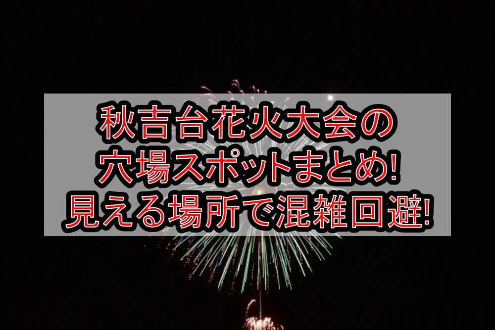 秋吉台花火大会2024の穴場スポットまとめ!見える場所で混雑回避!