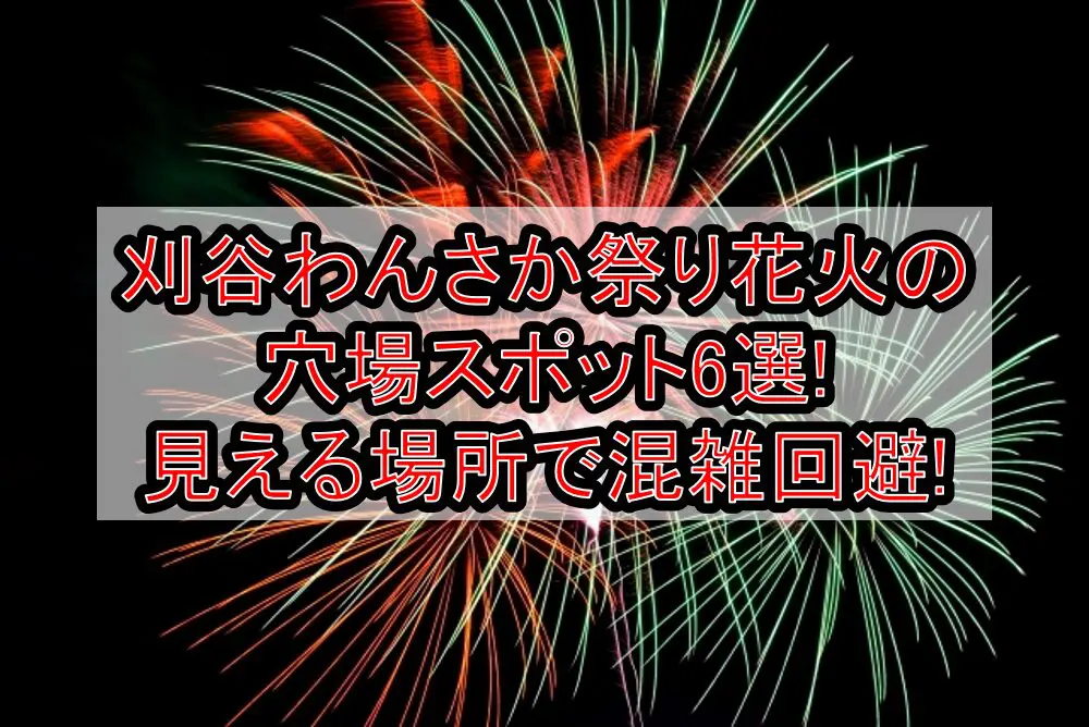 刈谷わんさか祭り花火大会2024の穴場6選!見える場所で混雑回避!