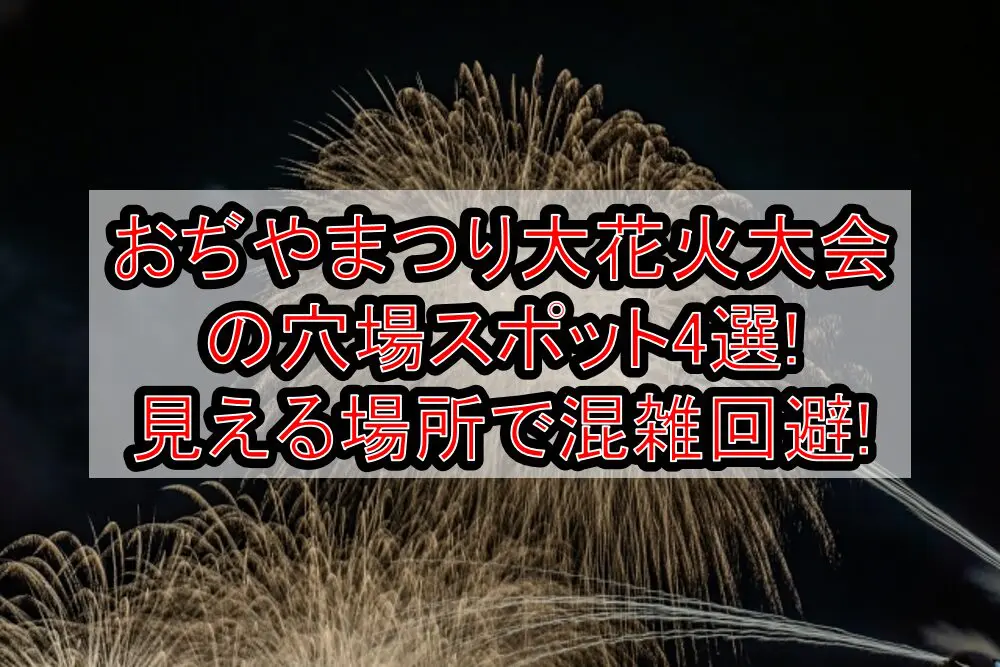 おぢやまつり大花火大会2024の穴場スポット4選!見える場所で混雑回避!