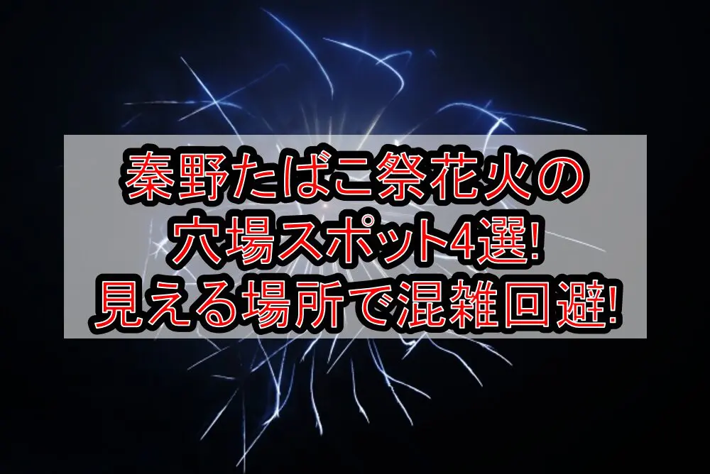 秦野たばこ祭花火2024の穴場スポット4選!見える場所で混雑回避!