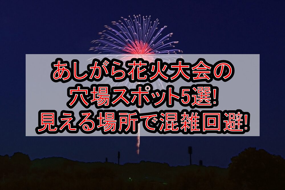 あしがら花火大会2025の穴場スポット5選!見える場所で混雑回避!