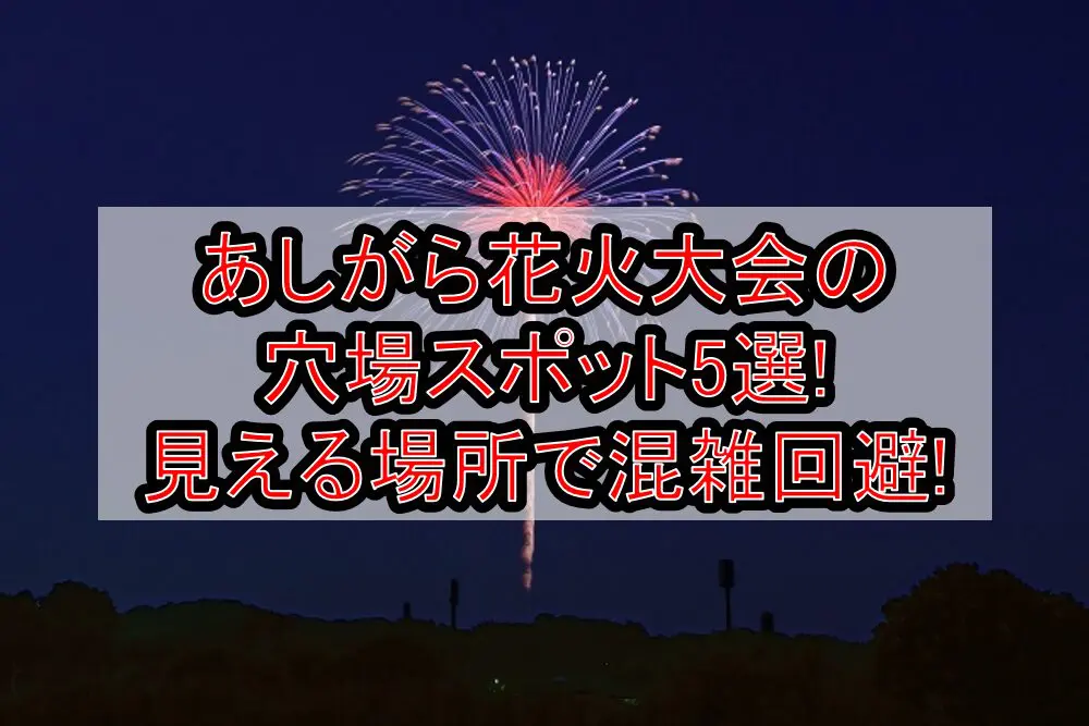 あしがら花火大会2024の穴場スポット5選!見える場所で混雑回避!