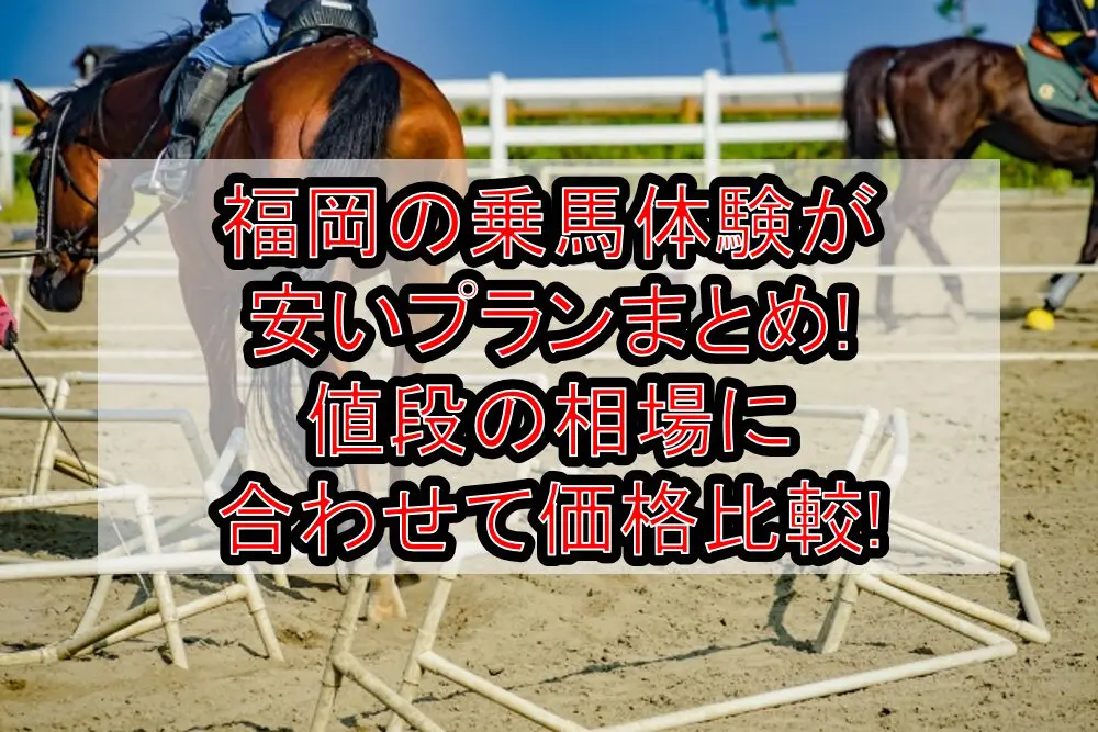 福岡の乗馬体験が安いプランまとめ!値段の相場に合わせて価格比較!