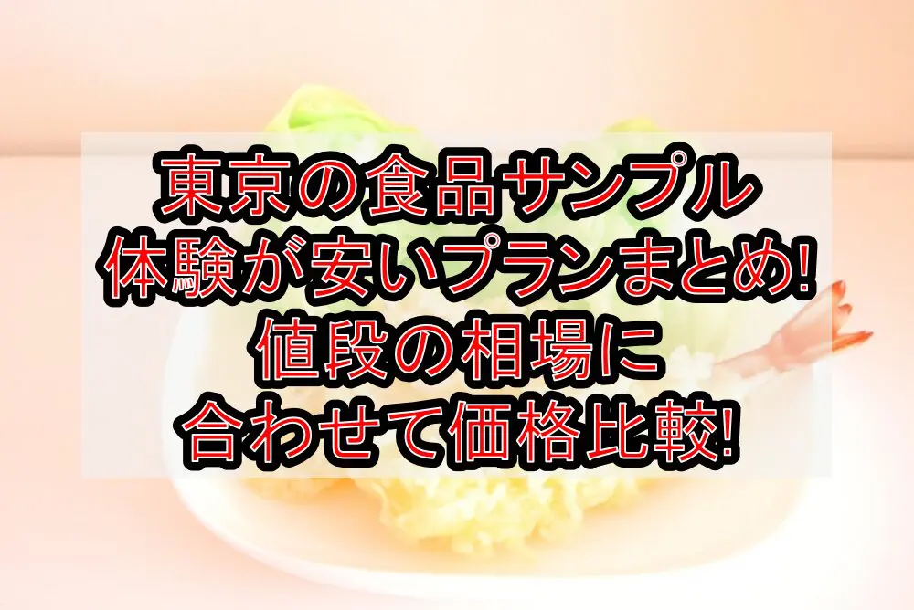 東京の食品サンプル体験が安いプランまとめ!値段の相場に合わせて価格比較!