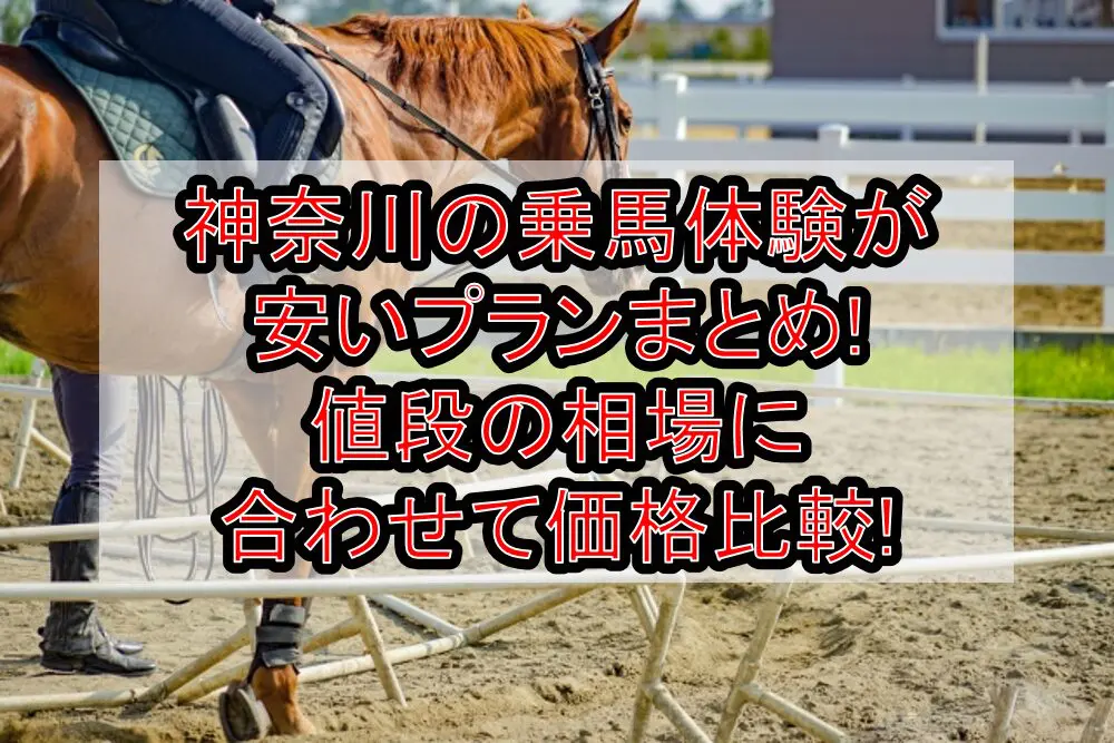 神奈川の乗馬体験が安いプランまとめ!値段の相場に合わせて価格比較!