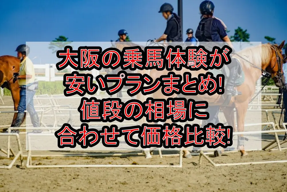 大阪の乗馬体験が安いプランまとめ!値段の相場に合わせて価格比較!