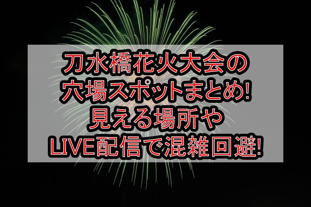 刀水橋花火大会2025の穴場スポットまとめ!見える場所やLIVE配信で混雑回避!
