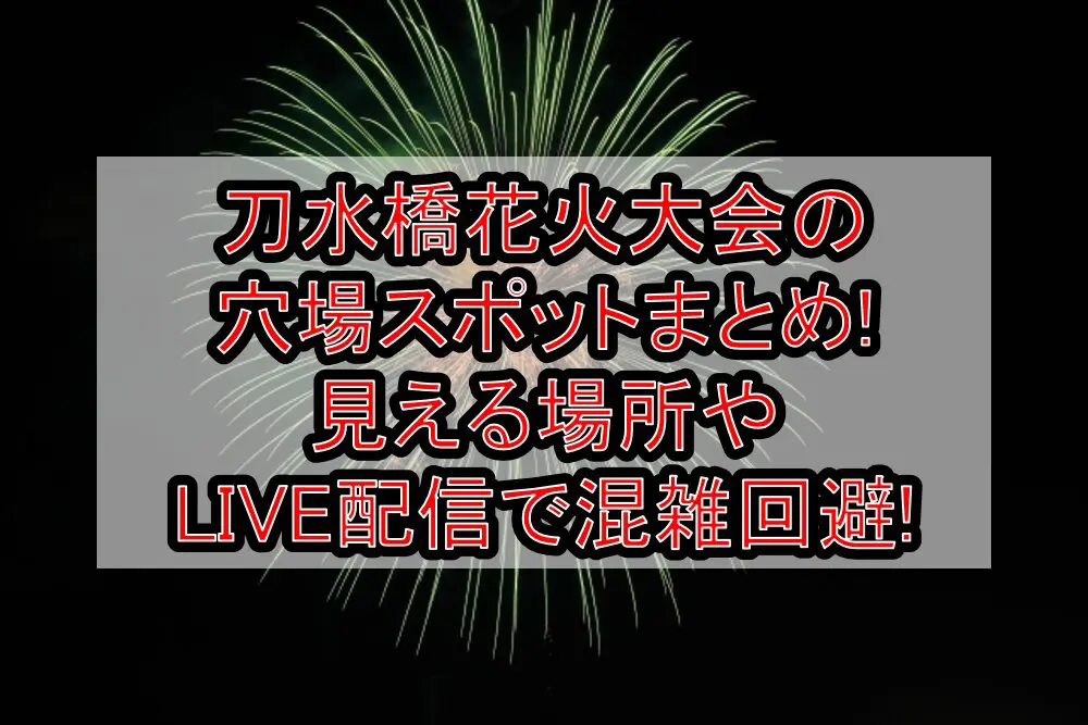 刀水橋花火大会2024の穴場スポットまとめ!見える場所やLIVE配信で混雑回避!