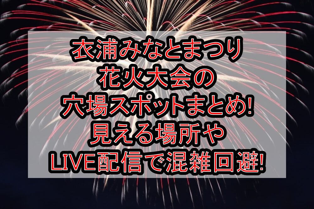 衣浦みなとまつり花火大会2025の穴場スポットまとめ!見える場所やLIVE配信で混雑回避!
