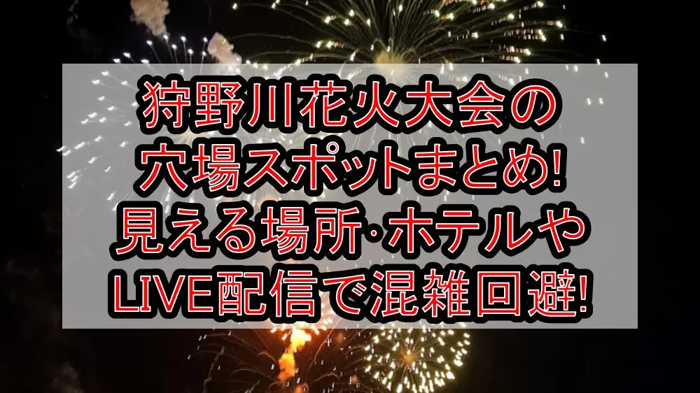 狩野川花火大会2025の穴場スポットまとめ!見える場所･ホテルやLIVE配信で混雑回避!