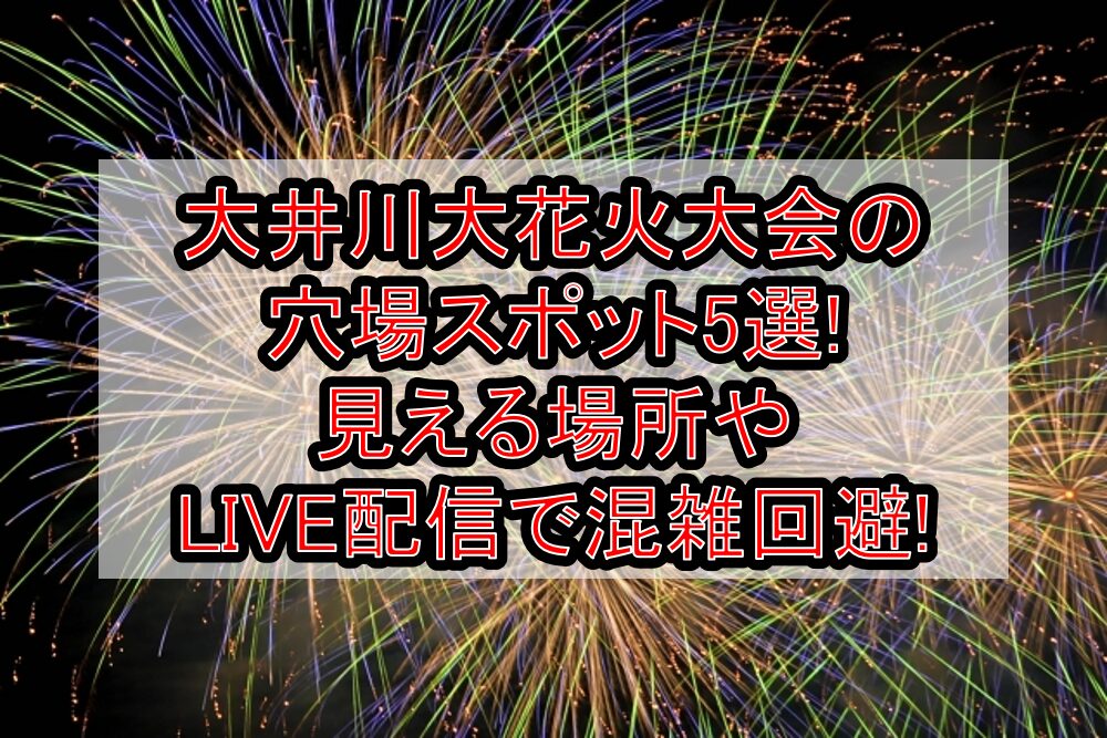 大井川大花火大会2025の穴場スポット5選!見える場所やLIVE配信で混雑回避!