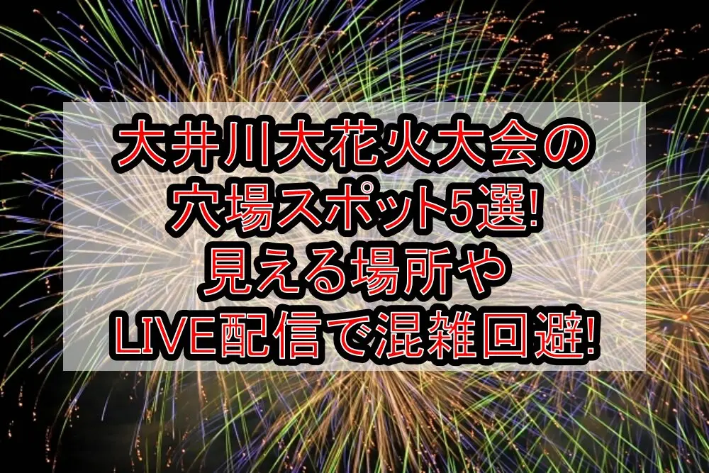 大井川大花火大会2025の穴場スポット5選!見える場所やLIVE配信で混雑回避!