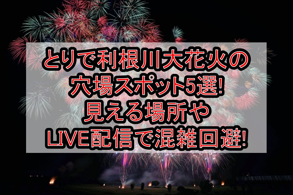とりで利根川大花火2025の穴場スポット5選!見える場所やLIVE配信で混雑回避!