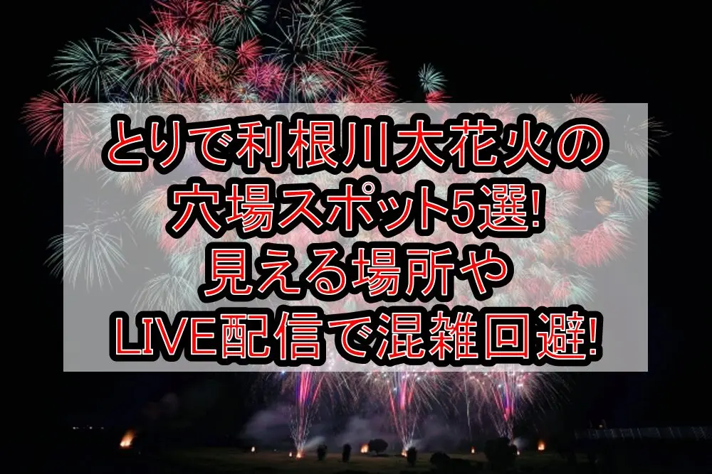 とりで利根川大花火2025の穴場スポット5選!見える場所やLIVE配信で混雑回避!